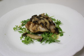 �ܤ�����Τ��Τ�������