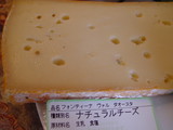 Fontina