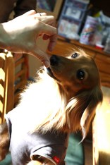 ���ä����-3