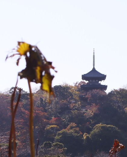 三重の塔