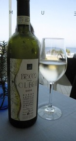 Bricco Cliesie 2008