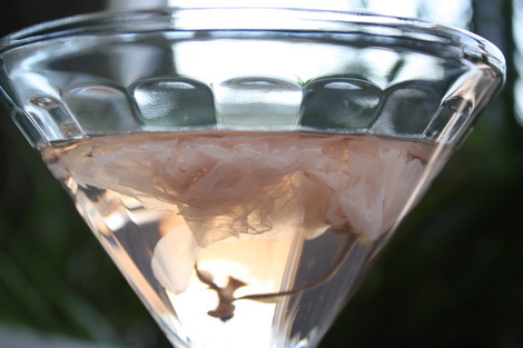 ������Υ��꡼