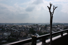 �ѥ���ȥ٥�����