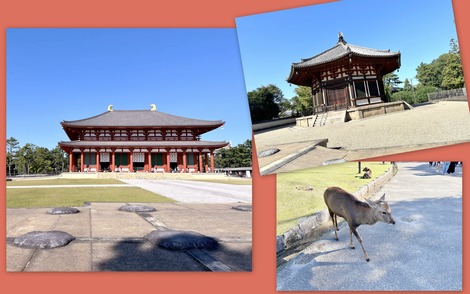 奈良公園