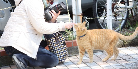 陽子しゃんとねこちゃん