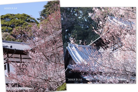 �����κ�