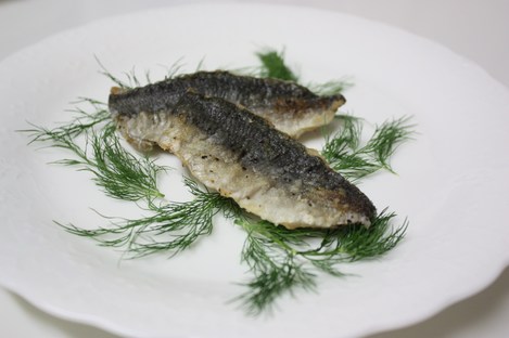 �����Υ�˥���