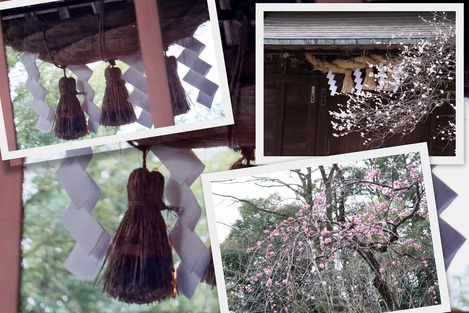 報徳二宮神社