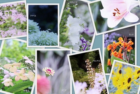 ���θ�����ָ���