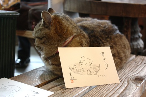 のんちゃんのカード立て