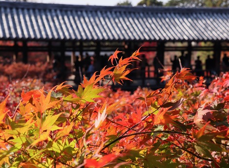 東福寺