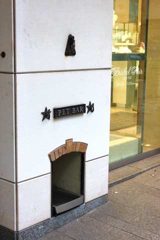 Pet Bar
