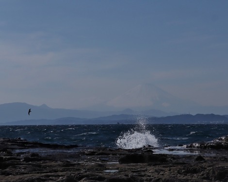 Mt.Fuji 2019.3.9
