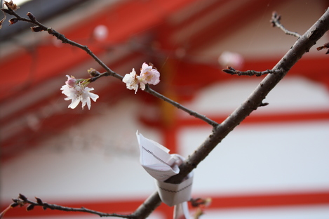 ���ߤ������촨��