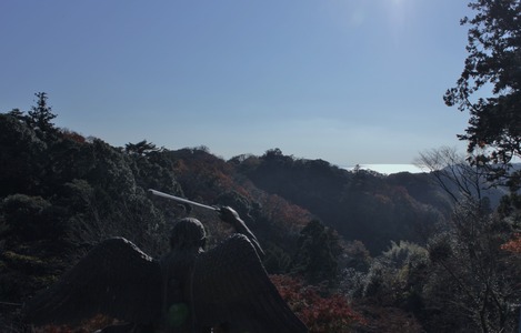 相模湾を望む