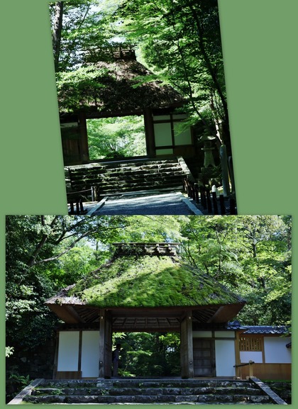 法然院