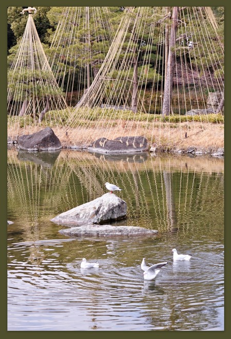 白鳥庭園
