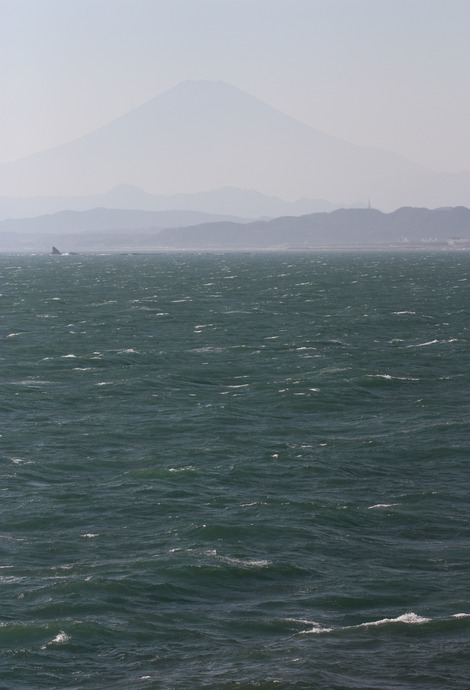 �ϳ����ٻ�