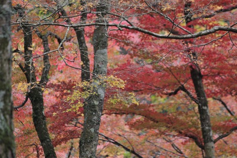長安寺