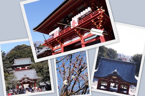 鶴岡八幡宮