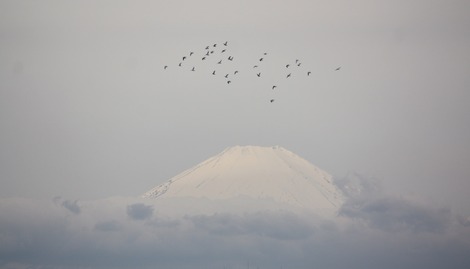 Mt.Fuji 3.30.2012