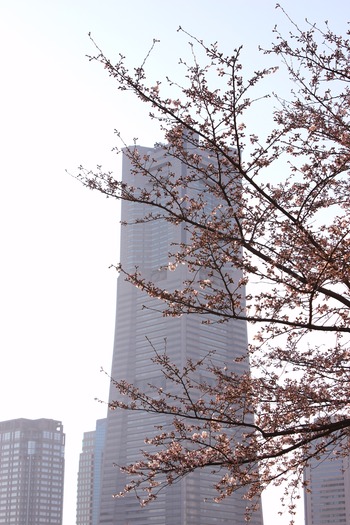 �ߤʤȤߤ餤 2014.3.28