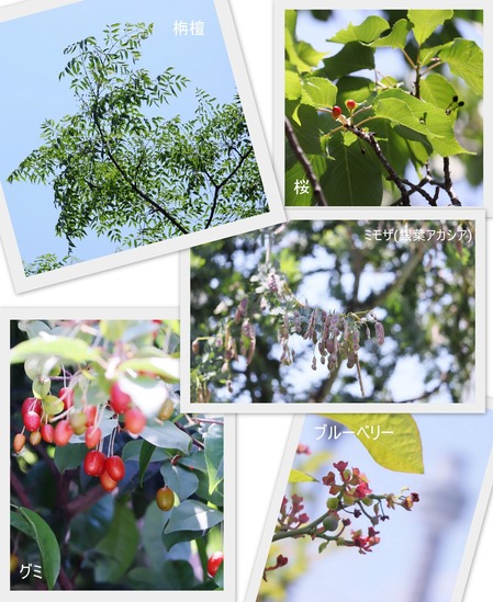 �¤�������