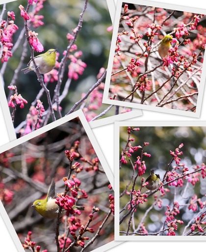 �᥸���ȴ����