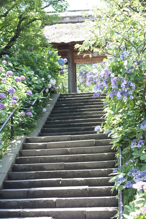 ��Ļ�����