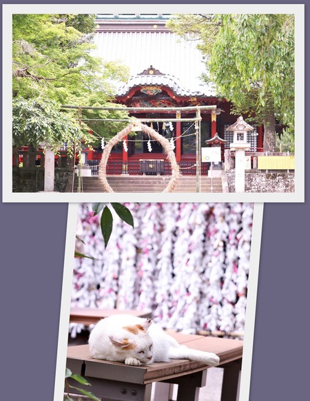 伊豆山神社
