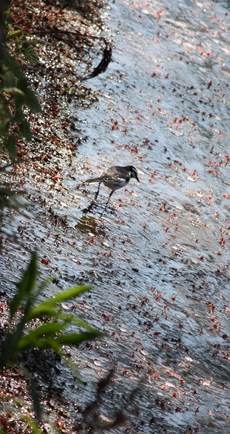 Ļ��̾���Ϥʡ��ˡ�