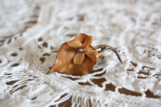 �ɤ����ߤβ�