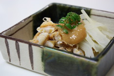 ���ɤȤҤ�Τ̤�