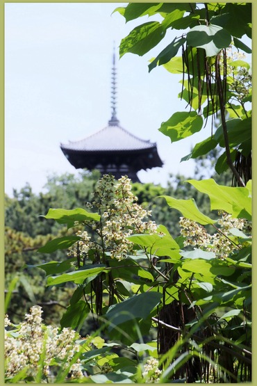 三渓園