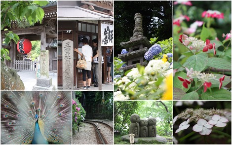 ���ҡ����۲�