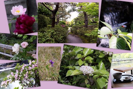 白鳥庭園