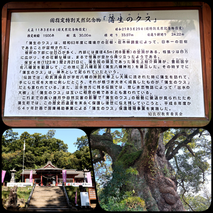 ����ȬȨ����