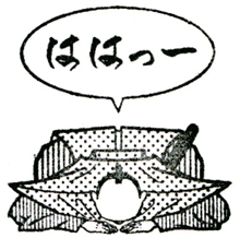 授業サークルリレーブログ 19年02月05日