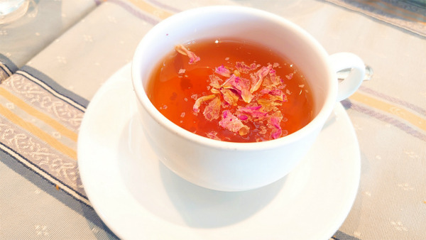 s2022-11-17 13.15.05