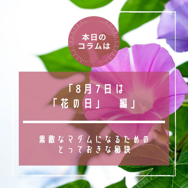 s257�������� ����ࡡ�֤���