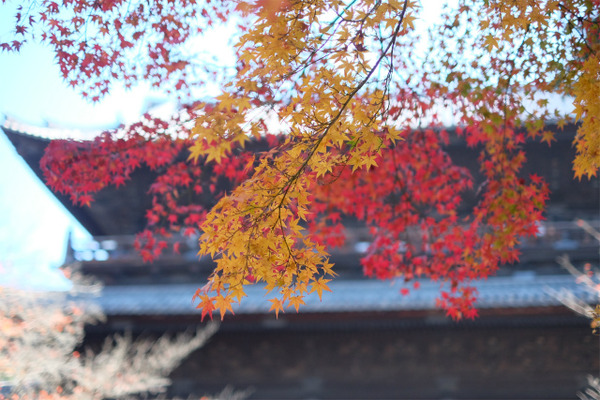 s�������� (9)