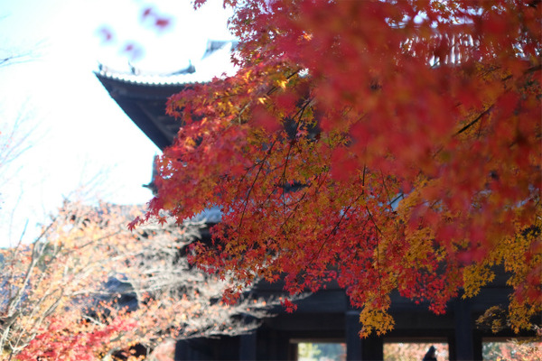 s�������� (8)