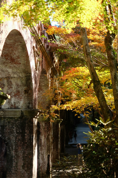 s������ϩ�� (14)