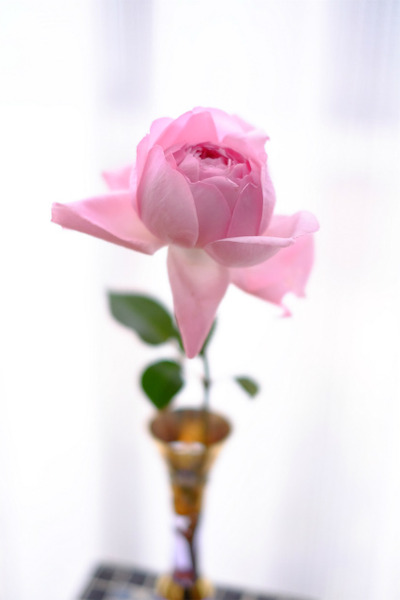 sDSCF8779