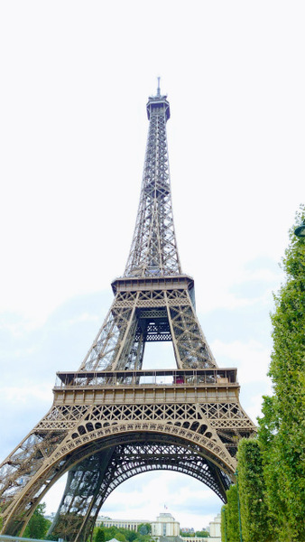s2023-7-13¥¨¥Ã¥Õ¥§¥ëÅã (2)