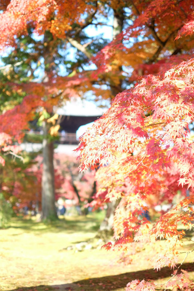 s�������� (17)