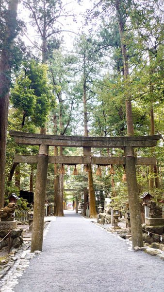 s2022-05-06���������  (7)