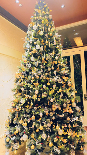 s�ե�󥹥ʥ��� (6)