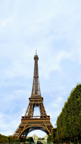 s2023-7-13¥¨¥Ã¥Õ¥§¥ëÅã (3)