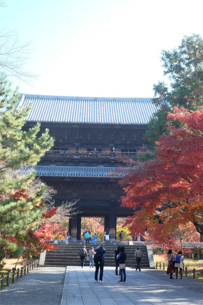 s�������� (7)